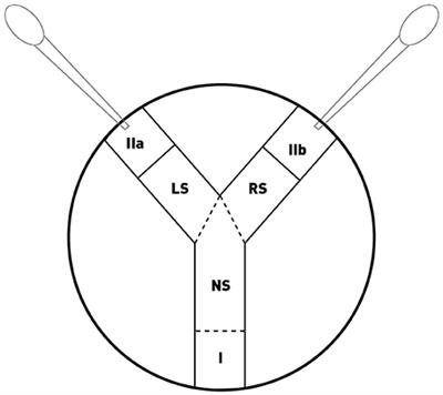 Symbiotic Bacteria Influence the Odor and Mating Preference of Their Hosts